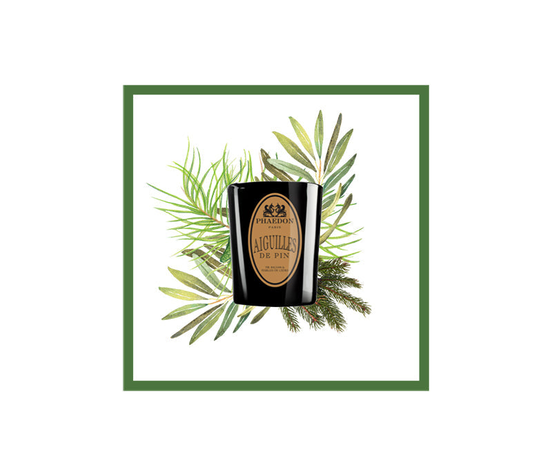 Phaedon Paris Scented Candle 190g Aiguilles de Pin