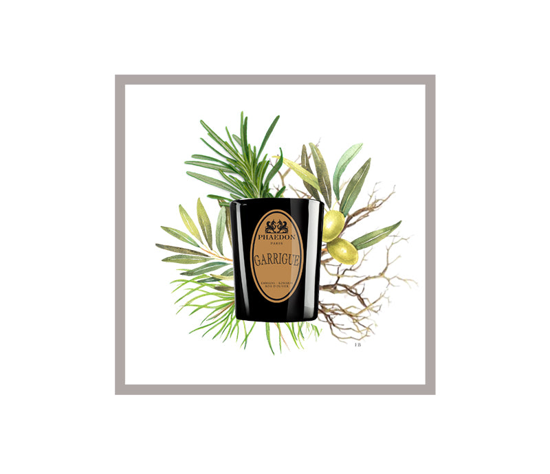 Phaedon Paris Scented Candle 190g Garrigue