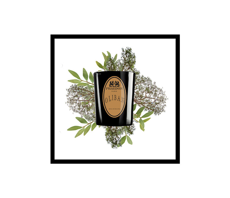 Phaedon Paris Scented Candle 190g Oliban