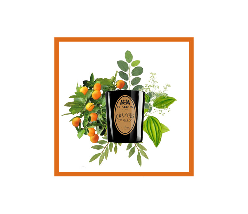Phaedon Paris Scented Candle 190g Oranger du Maroc