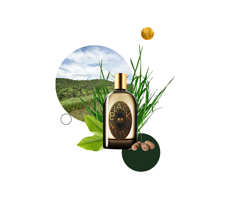 Phaedon Paris Eau de Parfum Black Vétiver