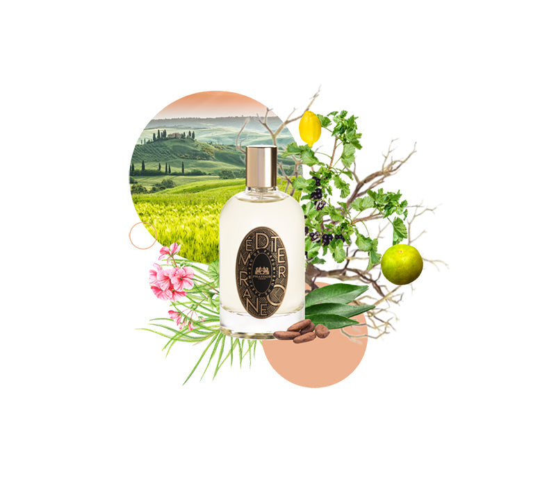 Phaedon Paris Eau de Parfum Méditerranéo
