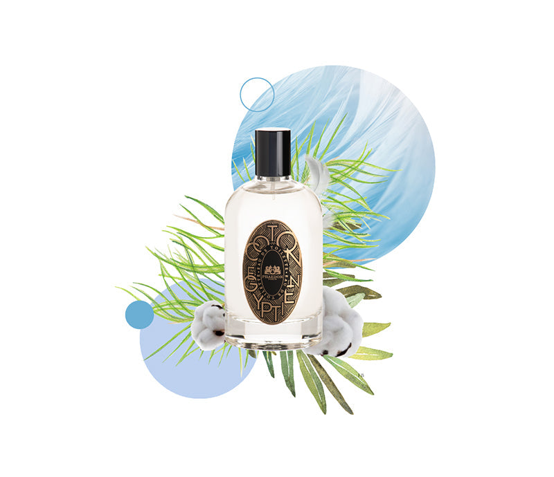 Phaedon Paris Eau de Toilette Coton Égyptien