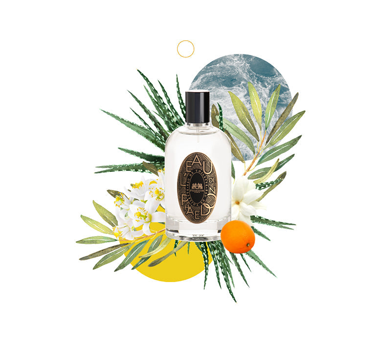 Phaedon Paris Eau de Toilette l'Eau de Phaedon