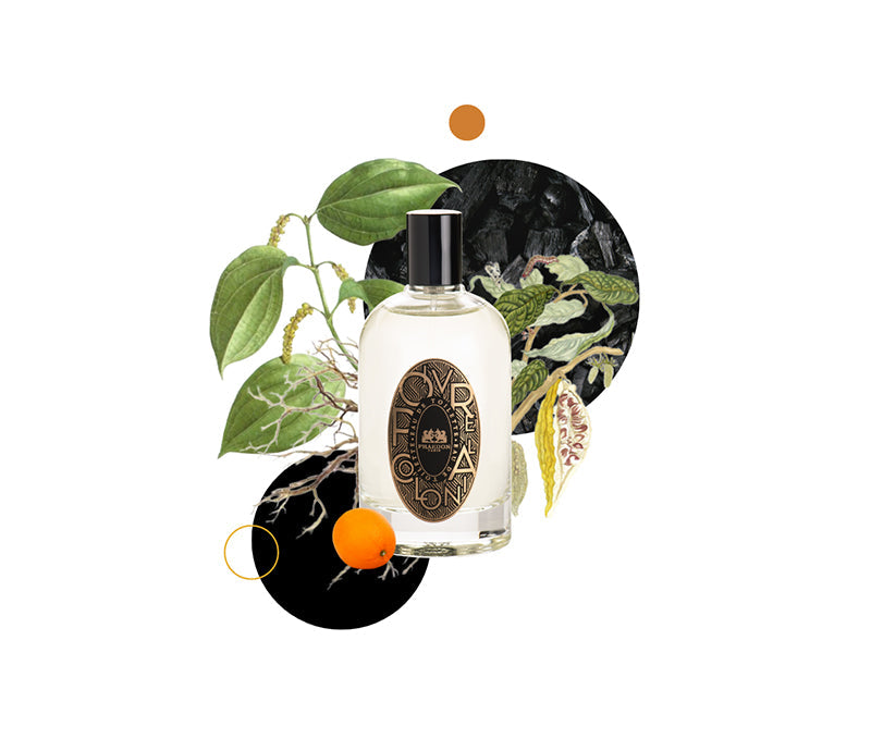Phaedon Paris Eau de Toilette Poivre Colonial
