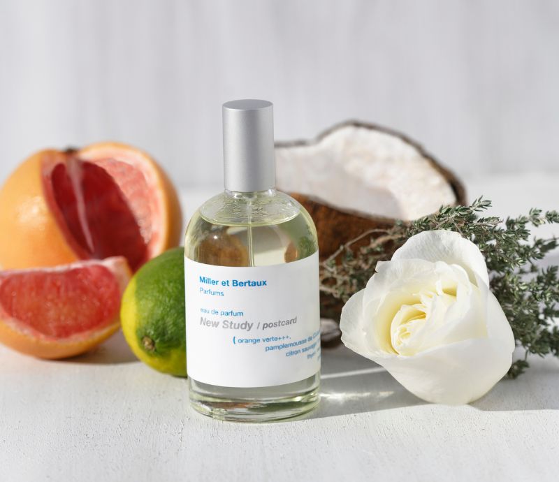 Miller et Bertaux Eau de Parfum New Study – Lothantique USA